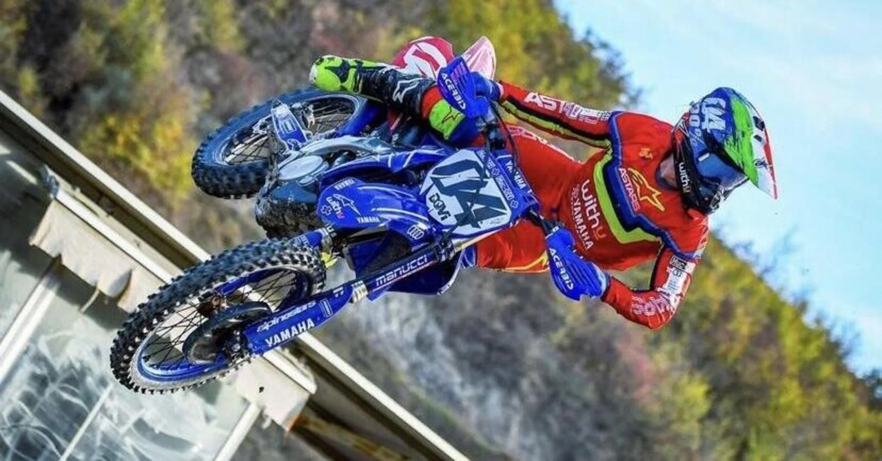 Dovi